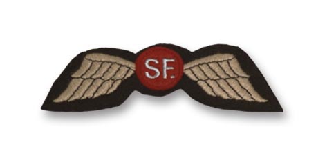 Special Forces' Wings WWII