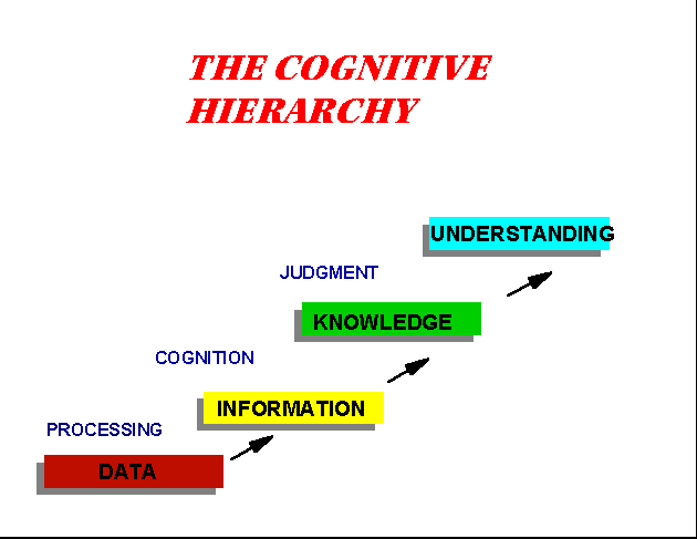 Cognitive hierarchy online